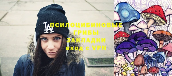 мдпв Армянск